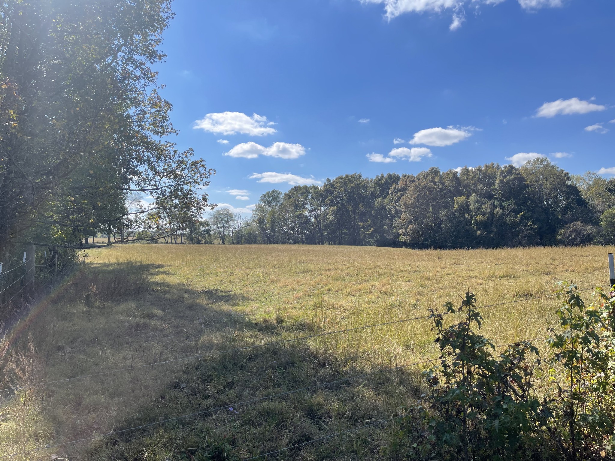 0 Marks Branch Road Leoma, TN 38468 - Photo 6 of 7 a view of a yard
