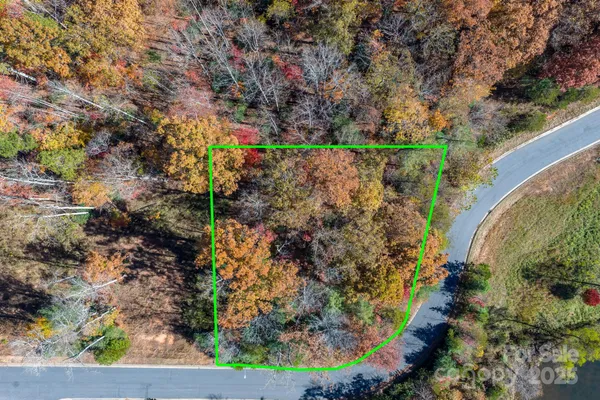 a view of a garden with a pathway