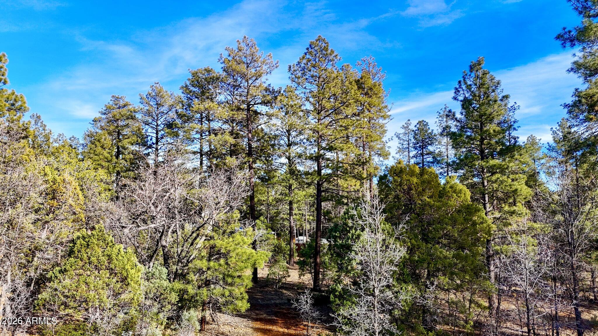 6101 Starlight Ridge Road, Unit 13 Lakeside, AZ 85929 - Photo 12 of 14 dji_fly_20260227_162018_0555_17722497715