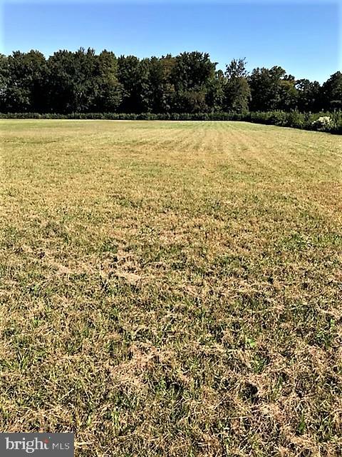 Lot 4 West Piney Grove Road Georgetown, DE 19947 - Photo 1 of 2 Gallery Image 1