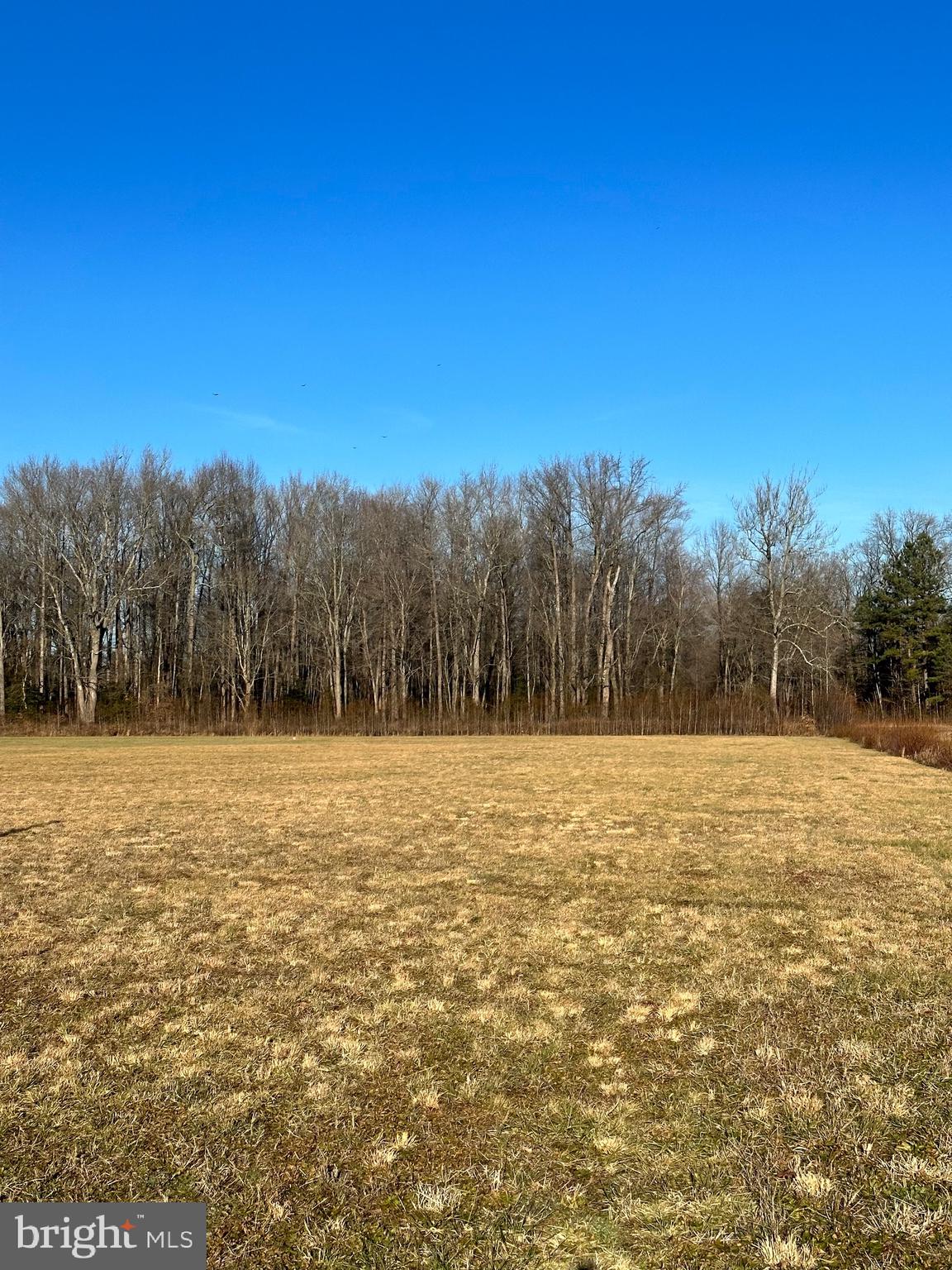 Lot 4 West Piney Grove Road Georgetown, DE 19947 - Photo 2 of 2 Gallery Image 2