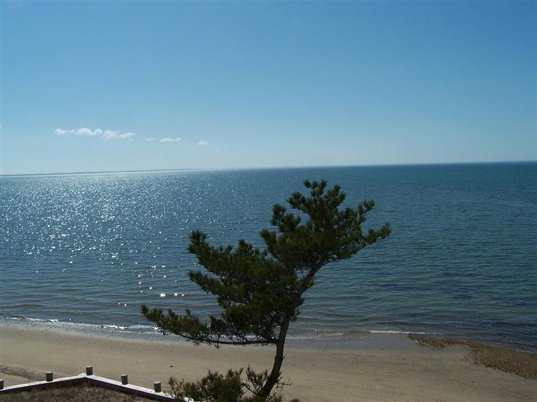 225 Sparrow Road Eastham, MA 02642 - Photo 10 of 29 a view of a lake with an outdoor space