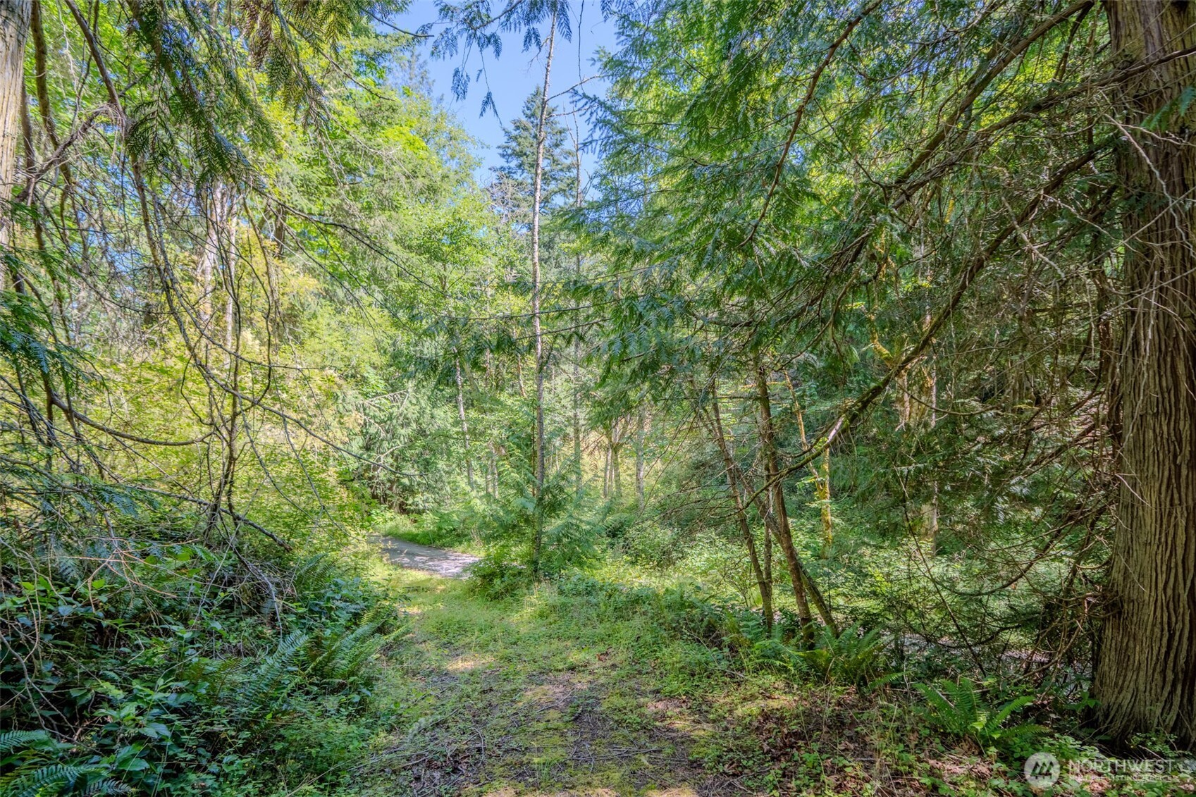 678 Swan Road Orcas Island, WA 98245 - Photo 38 of 39