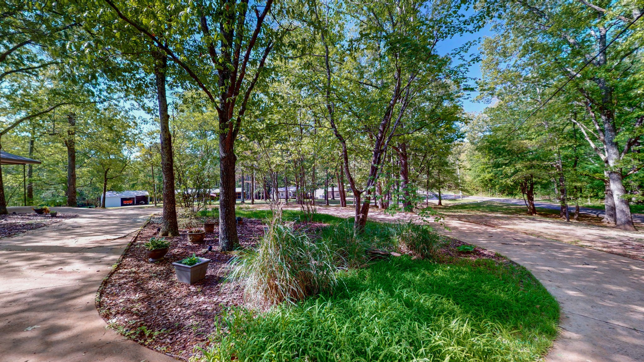 35 Davis Road Springville, TN 38256 - Photo 36 of 50 a view of park with tree