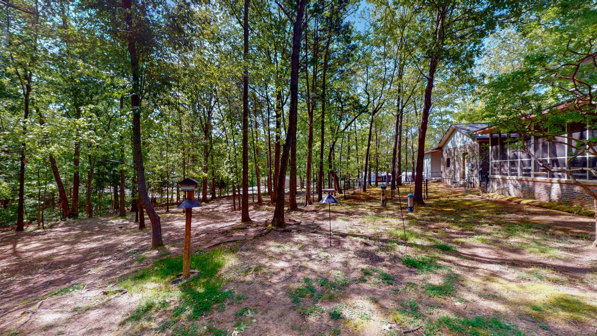 35 Davis Road Springville, TN 38256 - Photo 41 of 50 a view of a park with a tree