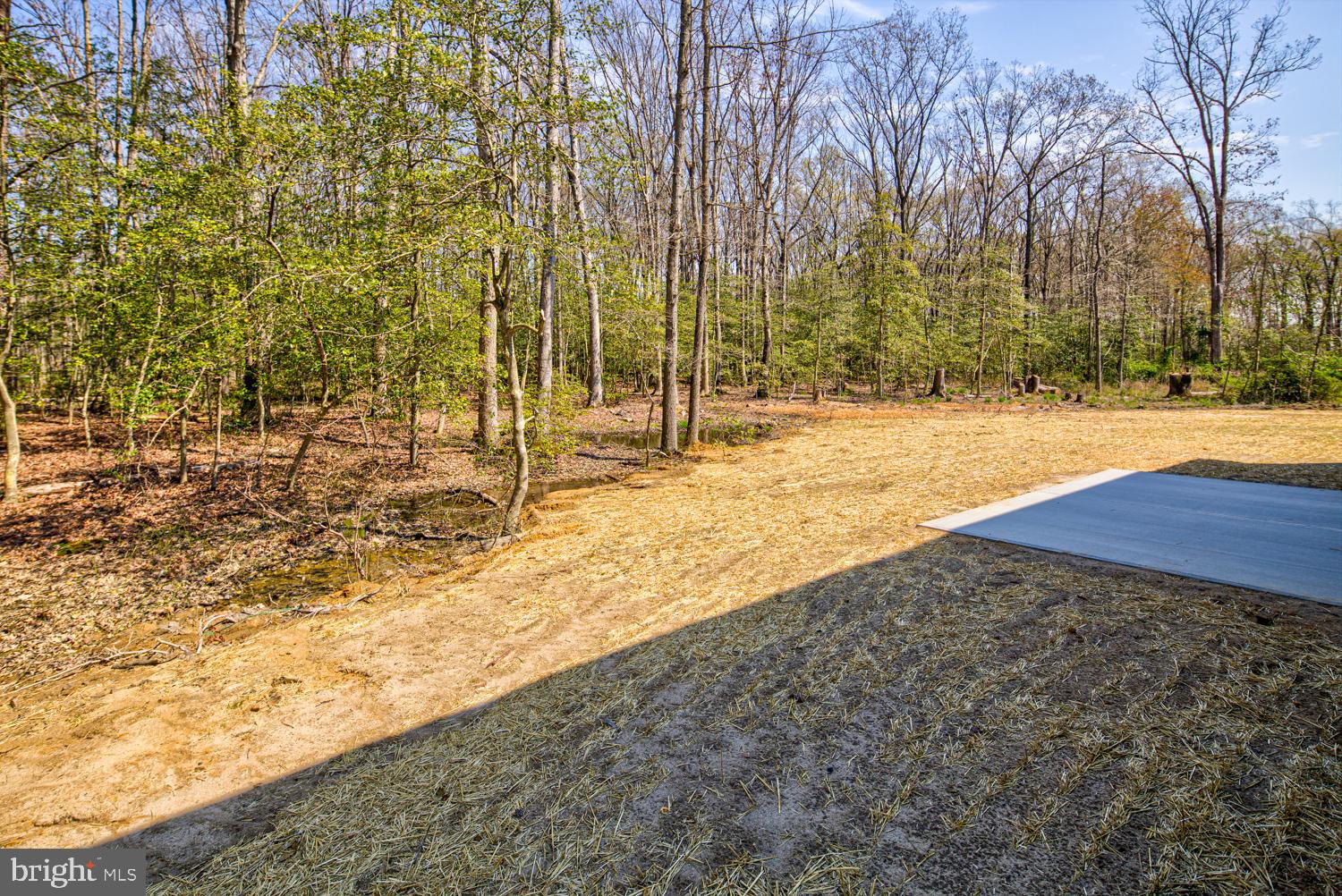 3 Purple Martin Way Dover, DE 19901 - Photo 6 of 27