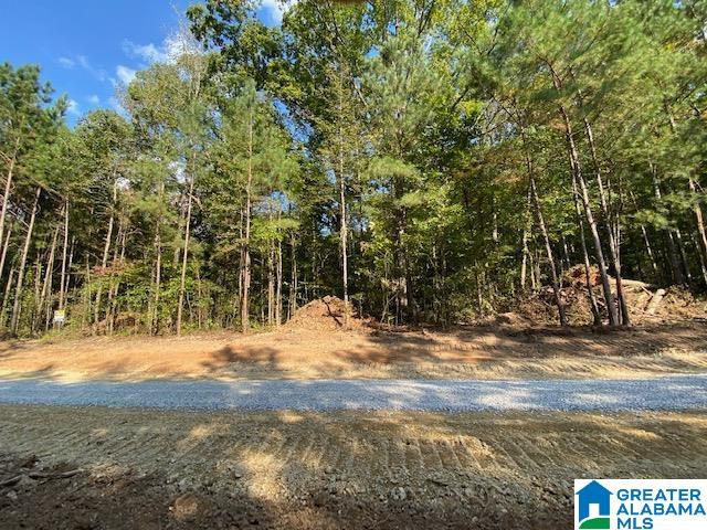 0 Maddox Farm Road, Unit OPTION 2 TRACT 2 Odenville, AL 35120 - Photo 5 of 7