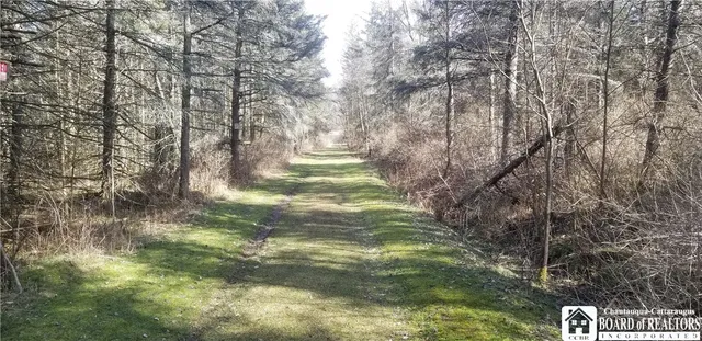 $15,500 | 6266 Bluebird Lane, Cattaraugus, NY 14719