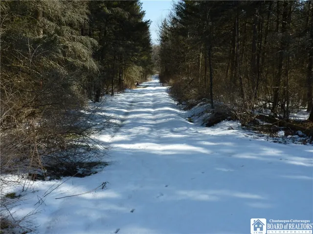 $15,500 | 6266 Bluebird Lane, Cattaraugus, NY 14719