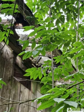 $15,500 | 6266 Bluebird Lane, Cattaraugus, NY 14719