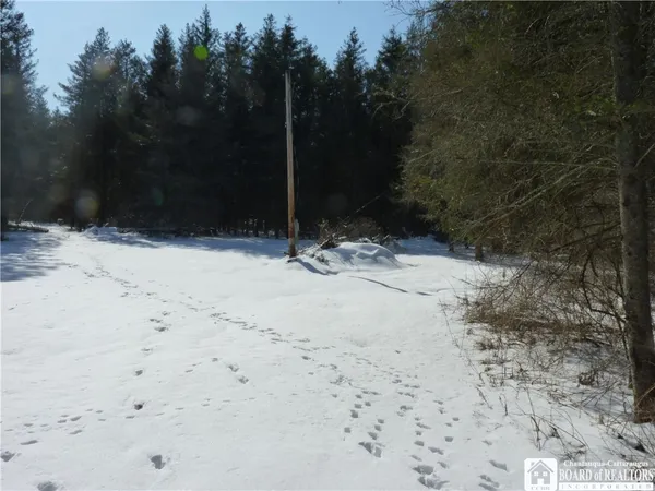 $15,500 | 6266 Bluebird Lane, Cattaraugus, NY 14719