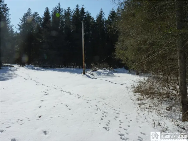 $15,500 | 6266 Bluebird Lane, Cattaraugus, NY 14719