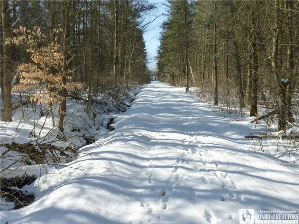 $15,500 | 6266 Bluebird Lane, Cattaraugus, NY 14719