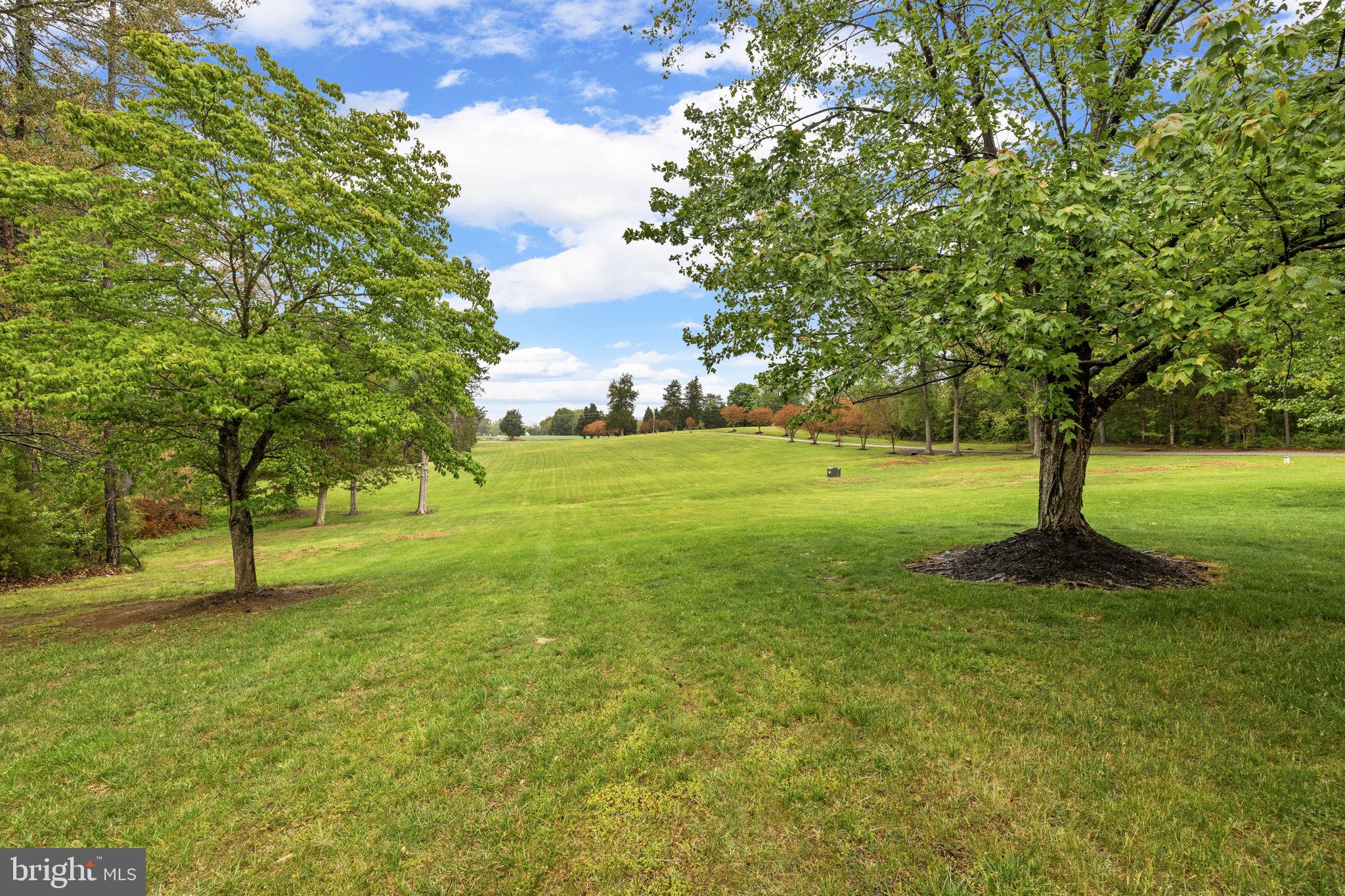 1942 Bibb Store Road Louisa, VA 23093 - Photo 53 of 61 a view of field with trees