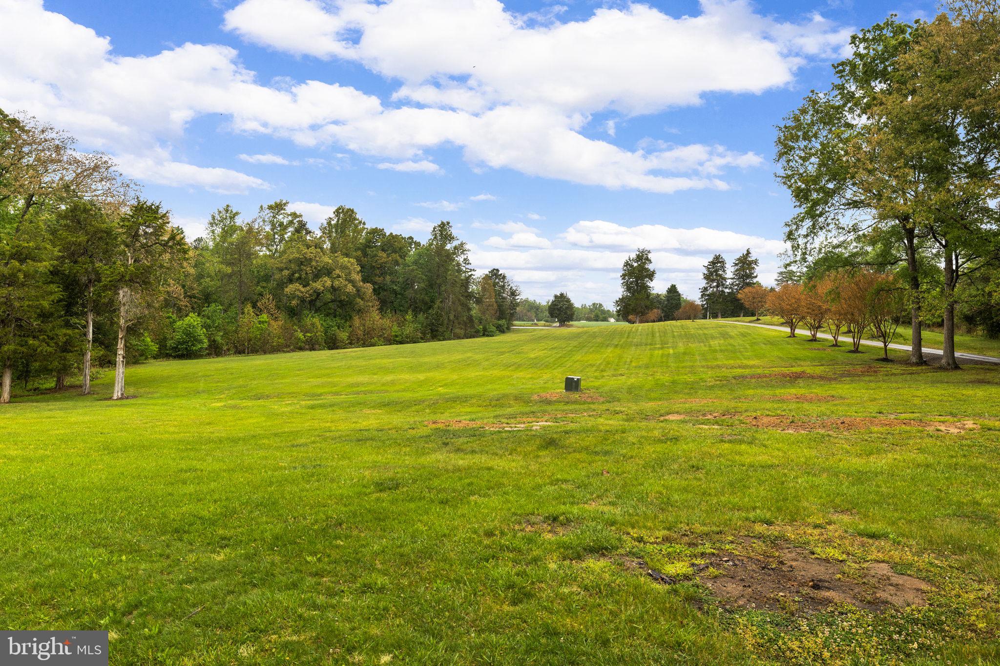 1942 Bibb Store Road Louisa, VA 23093 - Photo 54 of 61 a view of a big yard with a large trees