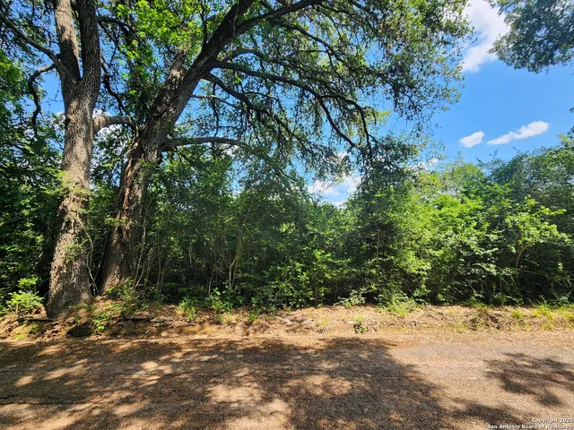 a wooden bench with view of trees