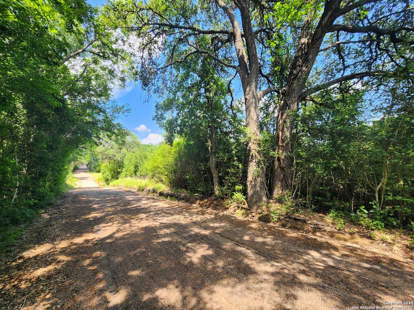 961 Lane Pool Road La Grange, TX 78945 - Photo 3 of 11