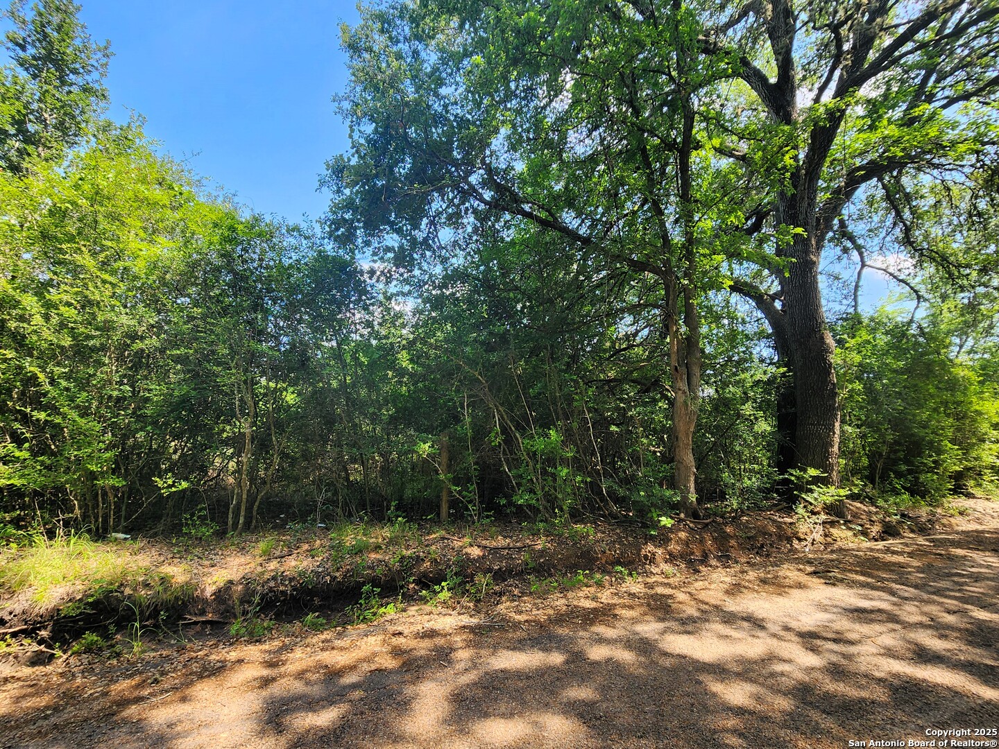 961 Lane Pool Road La Grange, TX 78945 - Photo 4 of 11