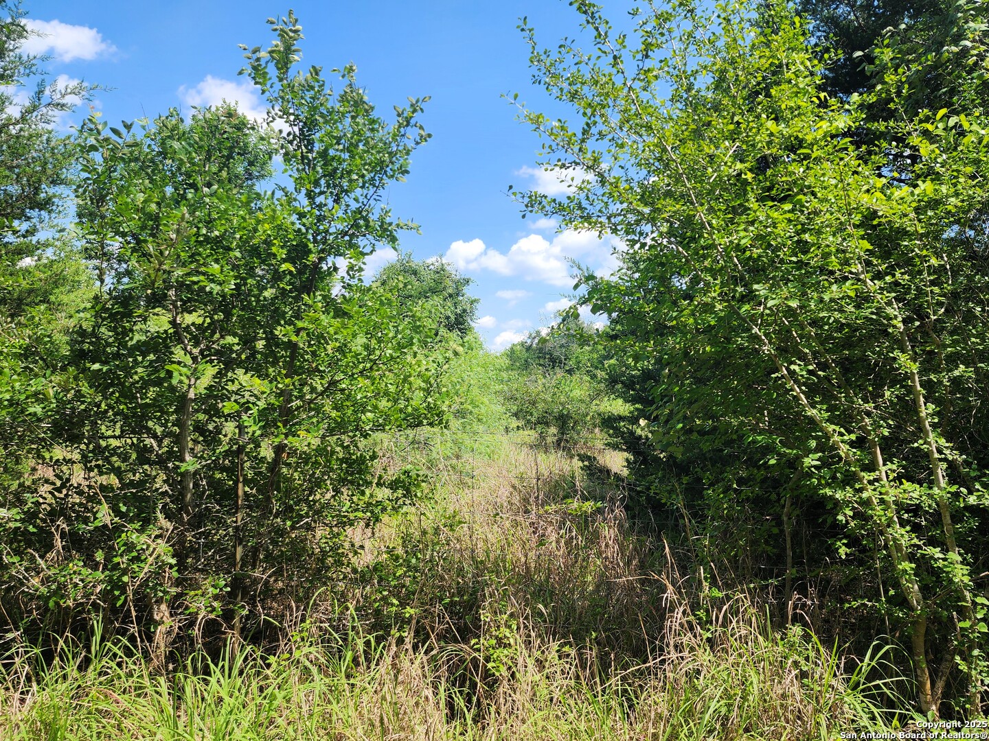 961 Lane Pool Road La Grange, TX 78945 - Photo 5 of 11