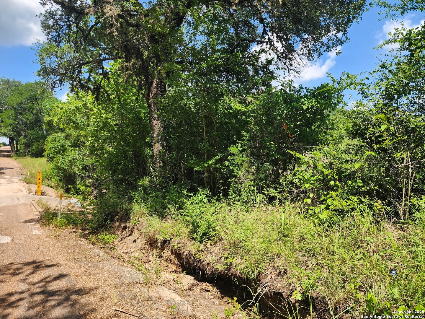 961 Lane Pool Road La Grange, TX 78945 - Photo 6 of 11