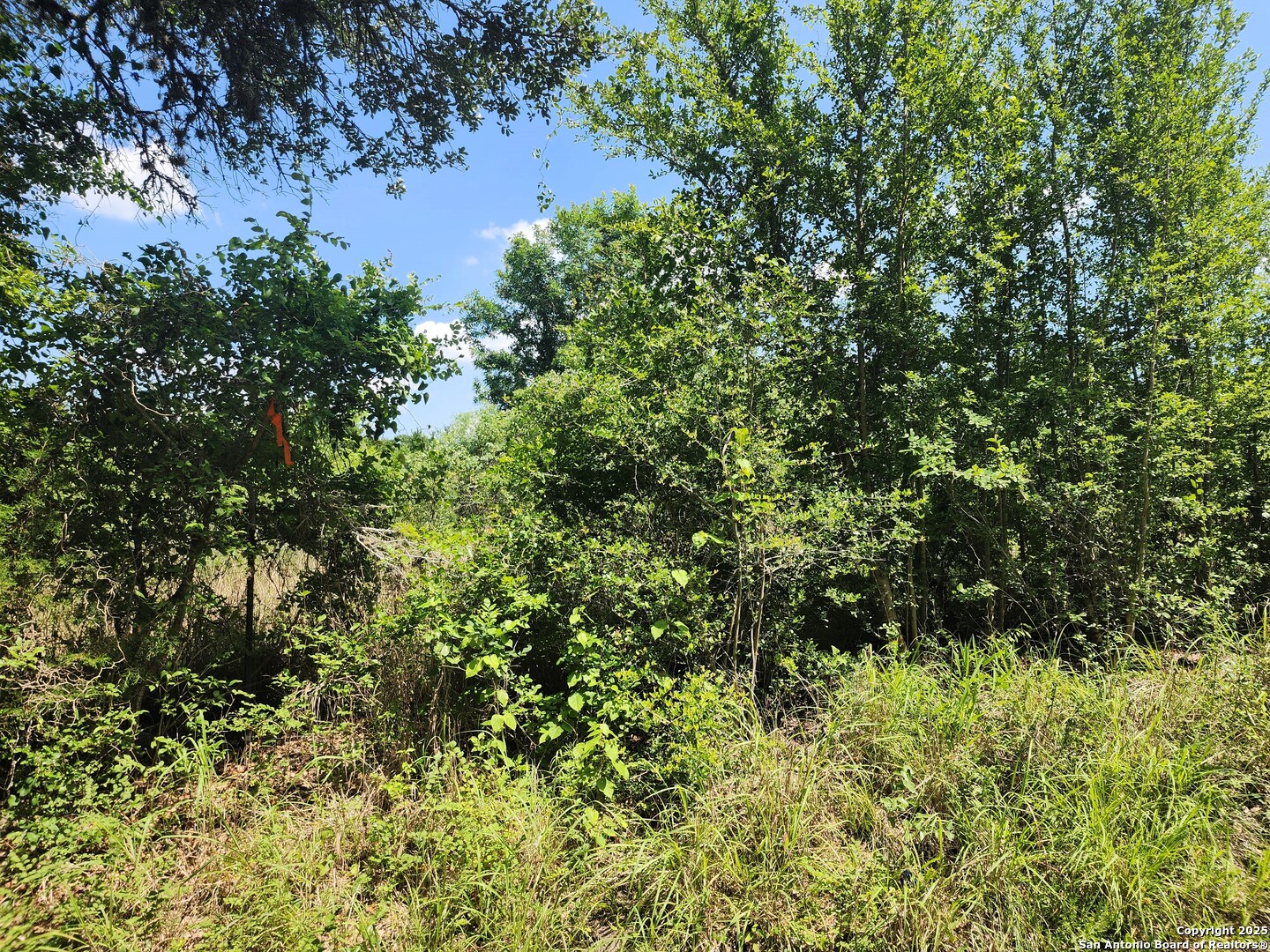 961 Lane Pool Road La Grange, TX 78945 - Photo 7 of 11