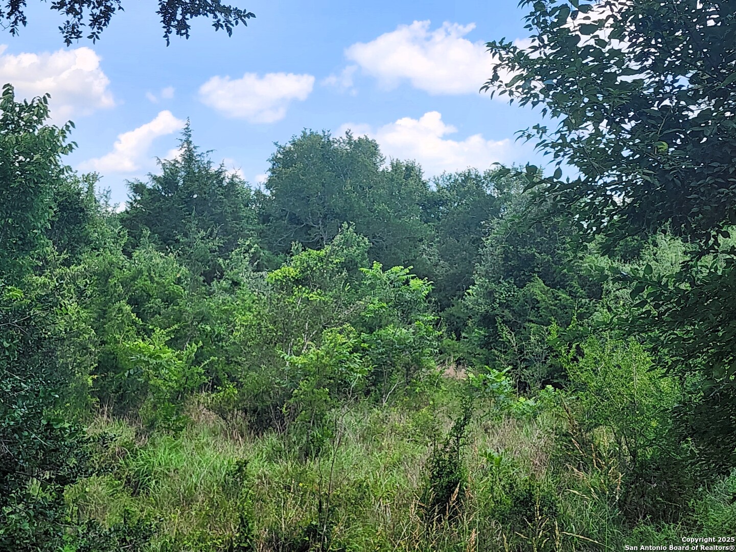 961 Lane Pool Road La Grange, TX 78945 - Photo 10 of 11