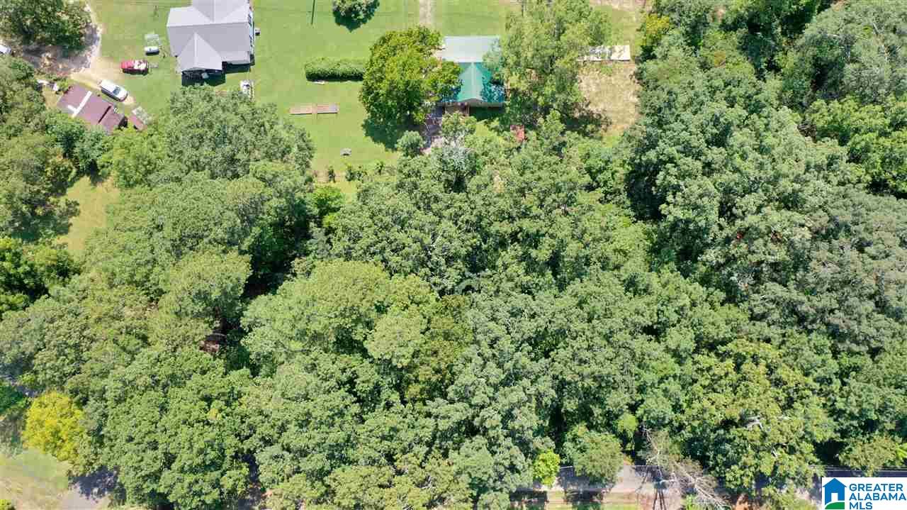 2764 Main Street Altoona, AL 35952 - Photo 48 of 49