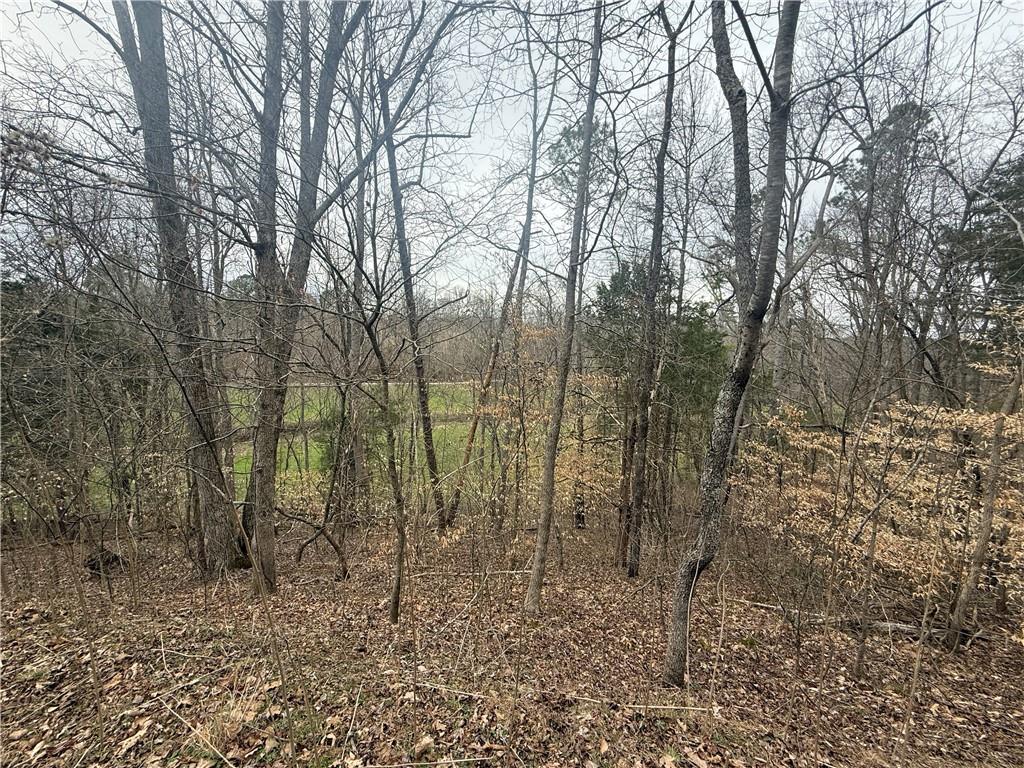 0 Salacoa Road Northeast Waleska, GA 30183 - Photo 11 of 13