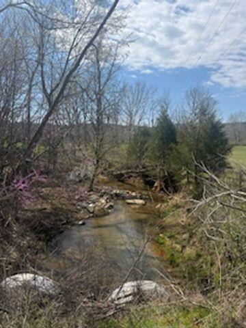 0 Salacoa Road Northeast Waleska, GA 30183 - Photo 2 of 13