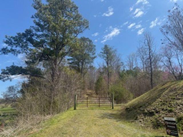 0 Salacoa Road Northeast Waleska, GA 30183 - Photo 3 of 13