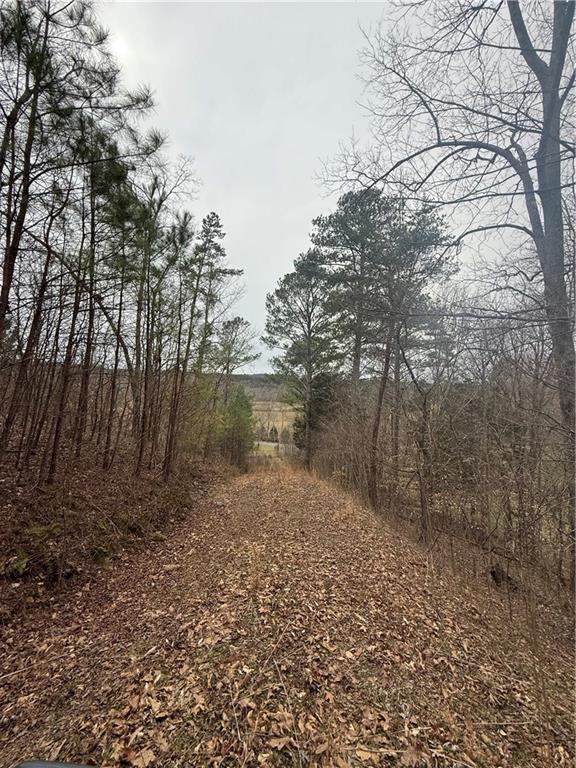 0 Salacoa Road Northeast Waleska, GA 30183 - Photo 4 of 13