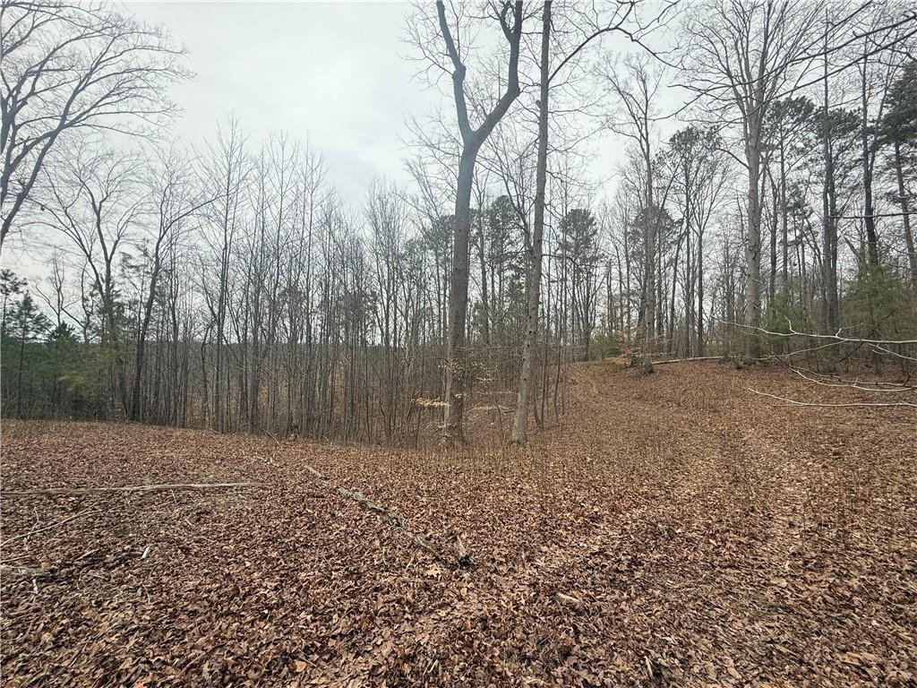 0 Salacoa Road Northeast Waleska, GA 30183 - Photo 5 of 13