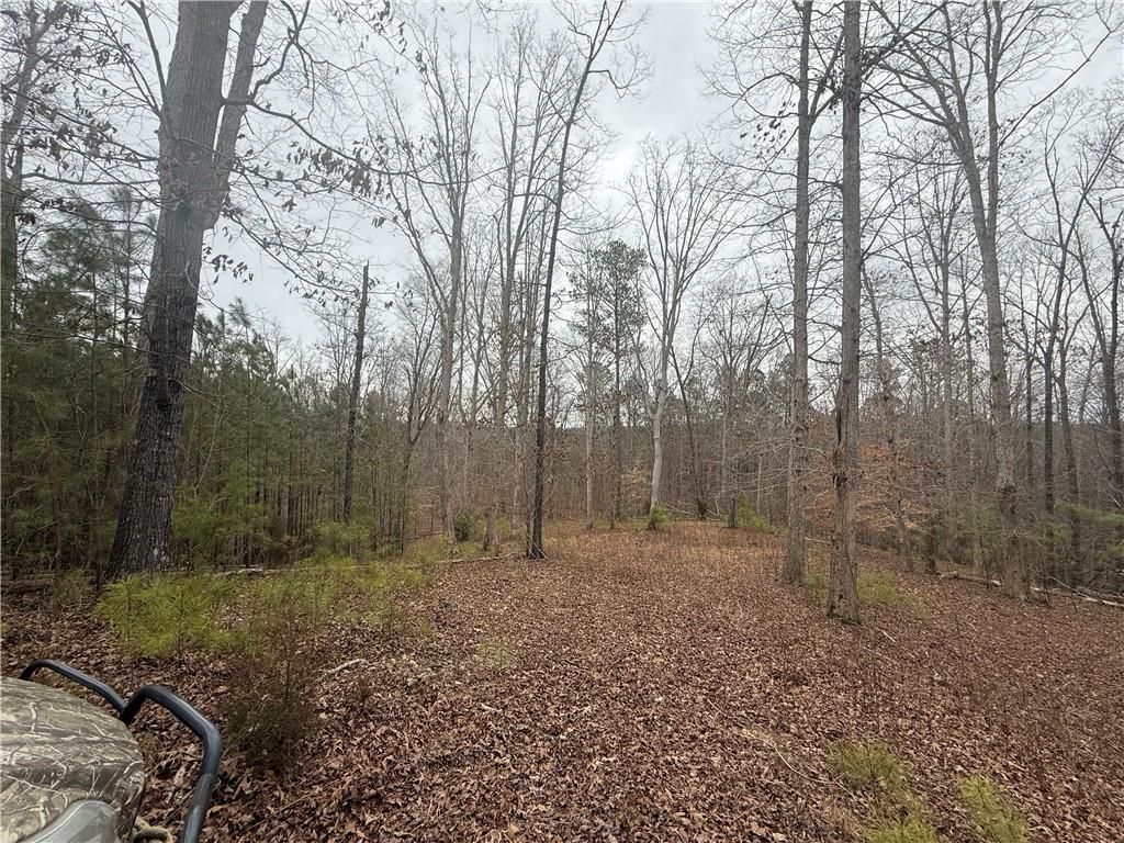 0 Salacoa Road Northeast Waleska, GA 30183 - Photo 6 of 13