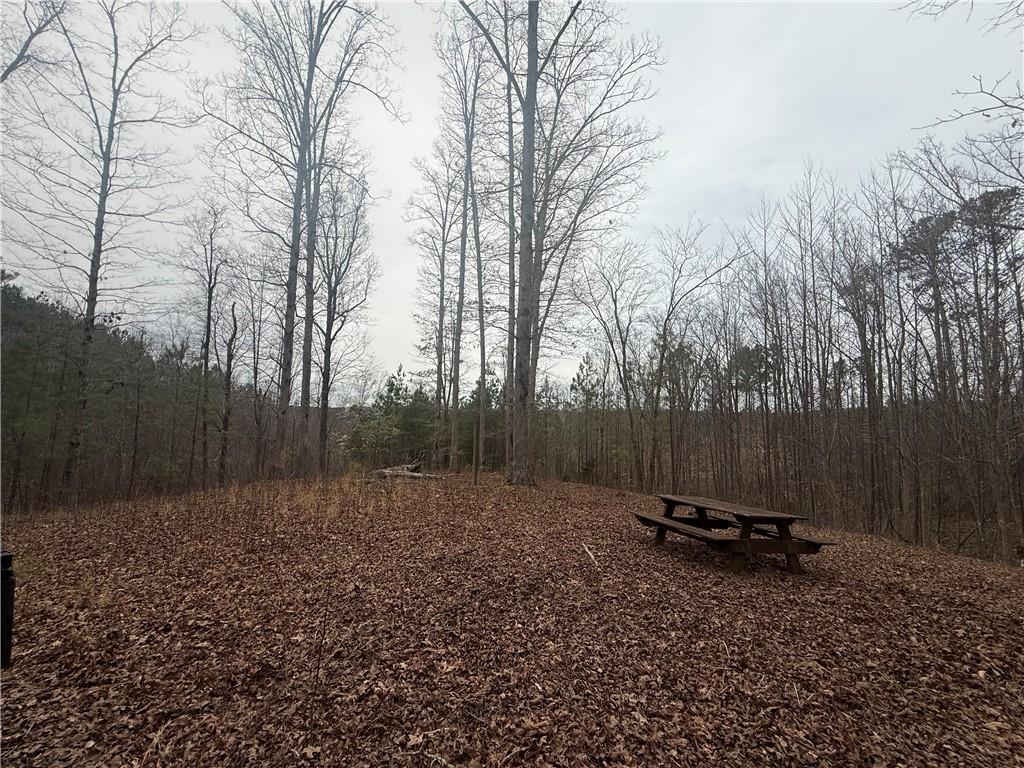 0 Salacoa Road Northeast Waleska, GA 30183 - Photo 7 of 13