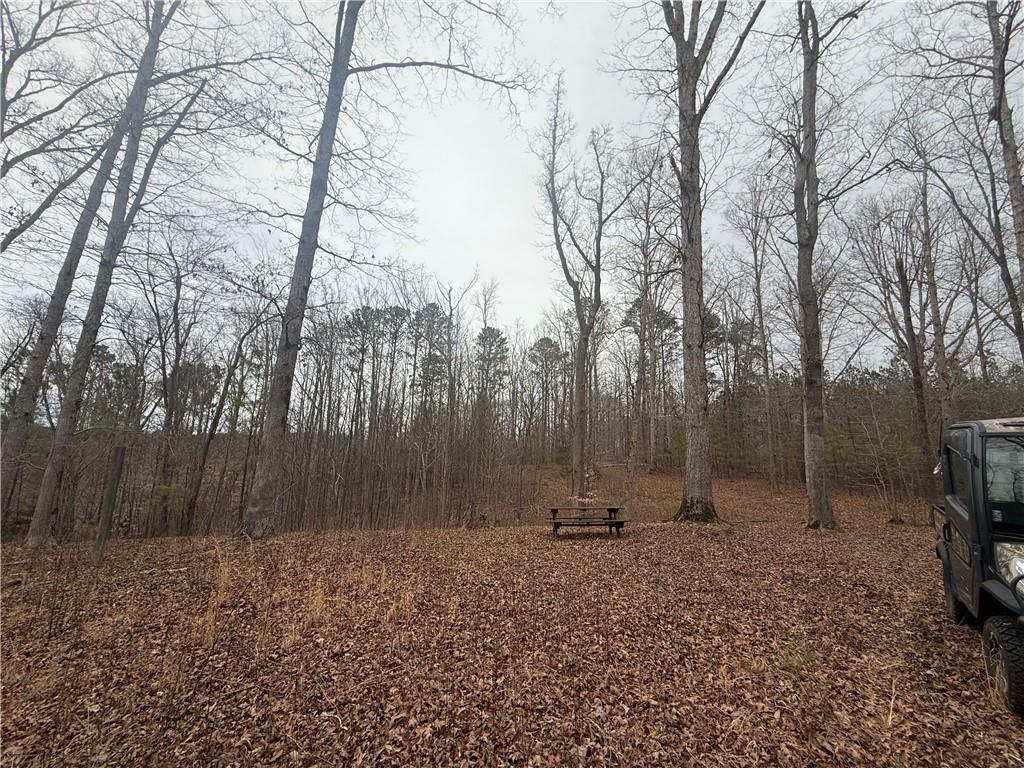 0 Salacoa Road Northeast Waleska, GA 30183 - Photo 8 of 13