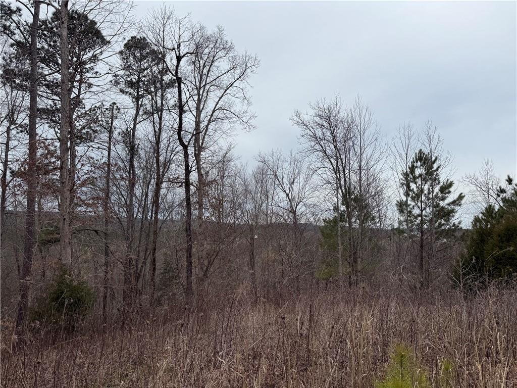 0 Salacoa Road Northeast Waleska, GA 30183 - Photo 9 of 13