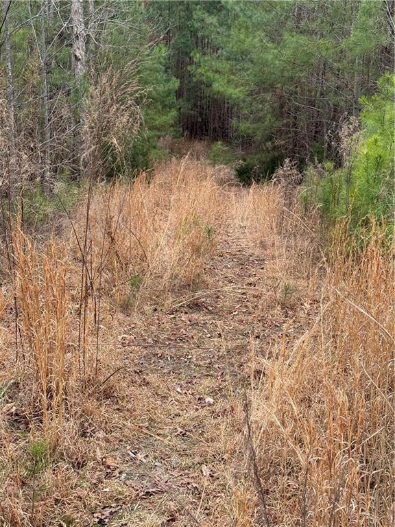 0 Salacoa Road Northeast Waleska, GA 30183 - Photo 10 of 13