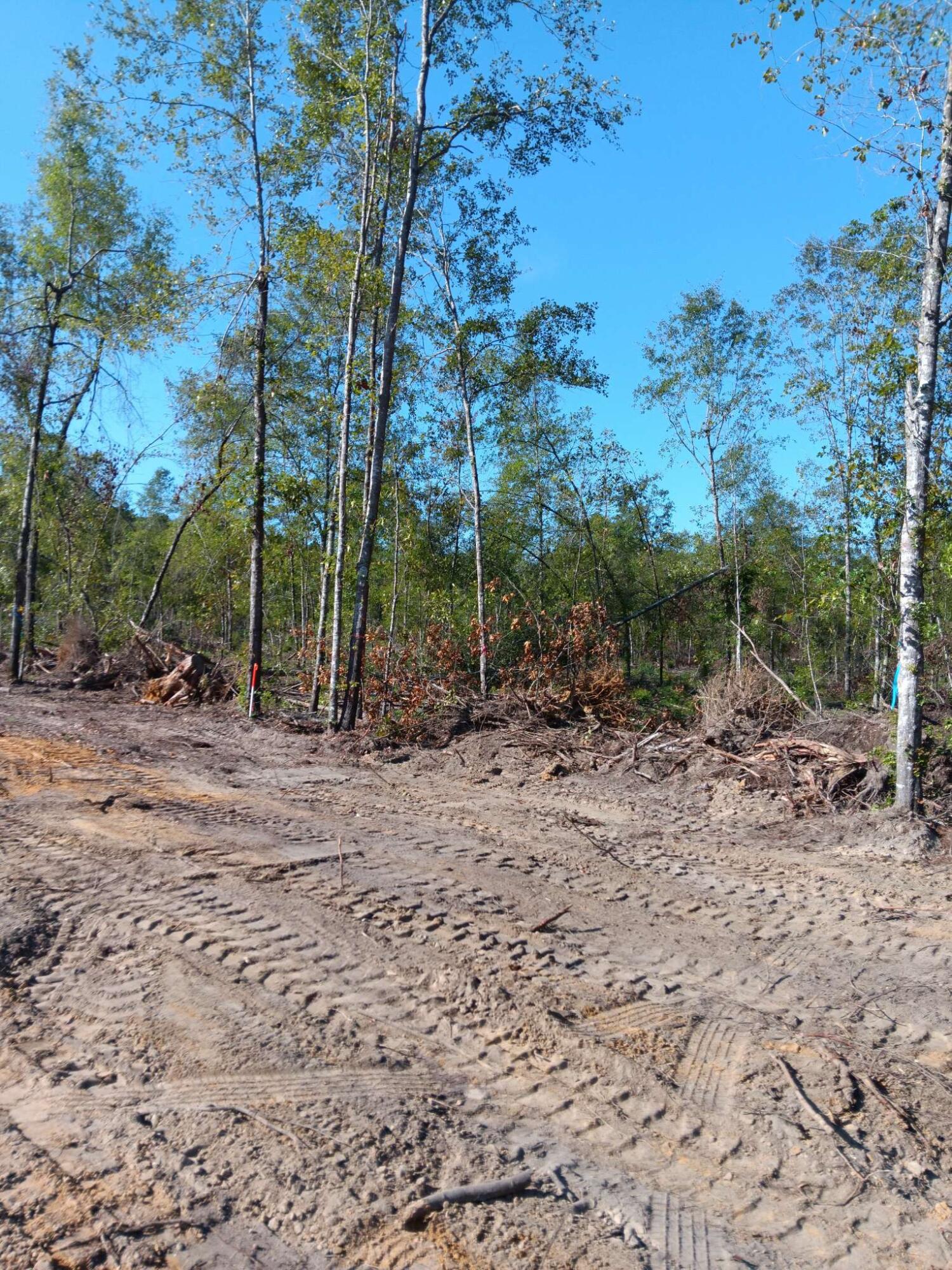 0 Londe Lane Barnwell, SC 29812 - Photo 3 of 12