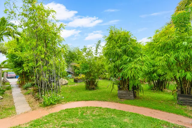 a view of a yard with plants and trees