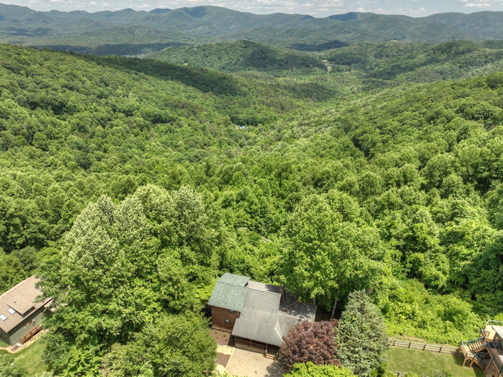 339 Moon Ridge Road Blairsville, GA 30512 - Photo 29 of 49 Gallery Image 29