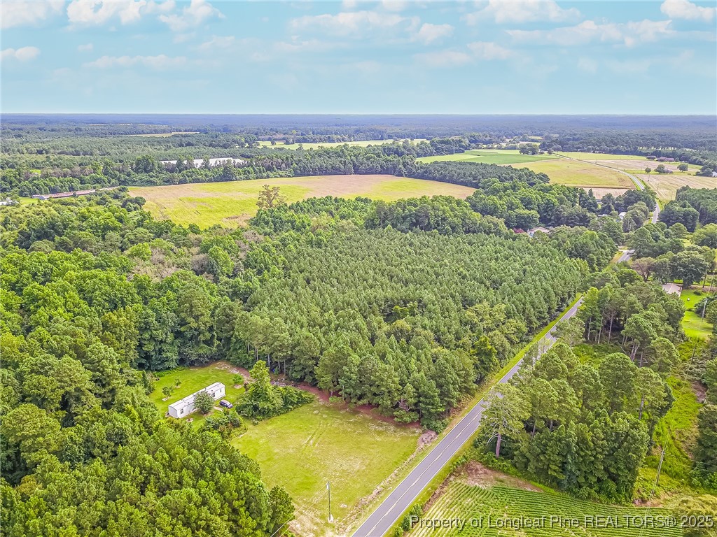 Boykin Bridge Road Road Clinton, NC 28328 - Photo 2 of 5 a view of a city