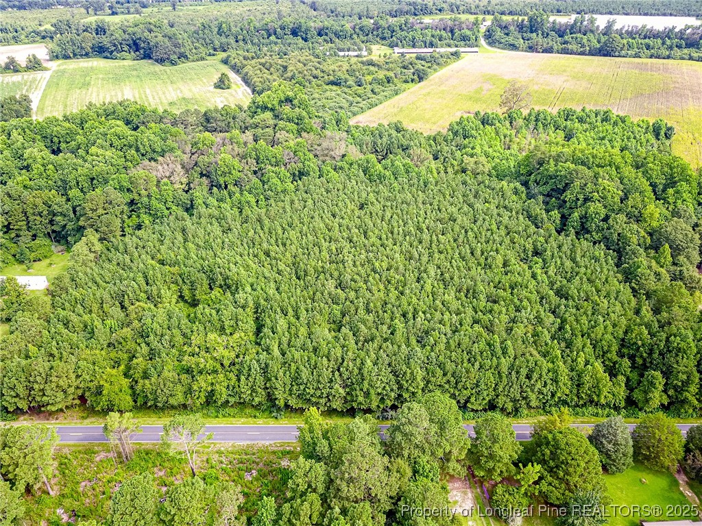 Boykin Bridge Road Road Clinton, NC 28328 - Photo 4 of 5 a view of a lake with a yard