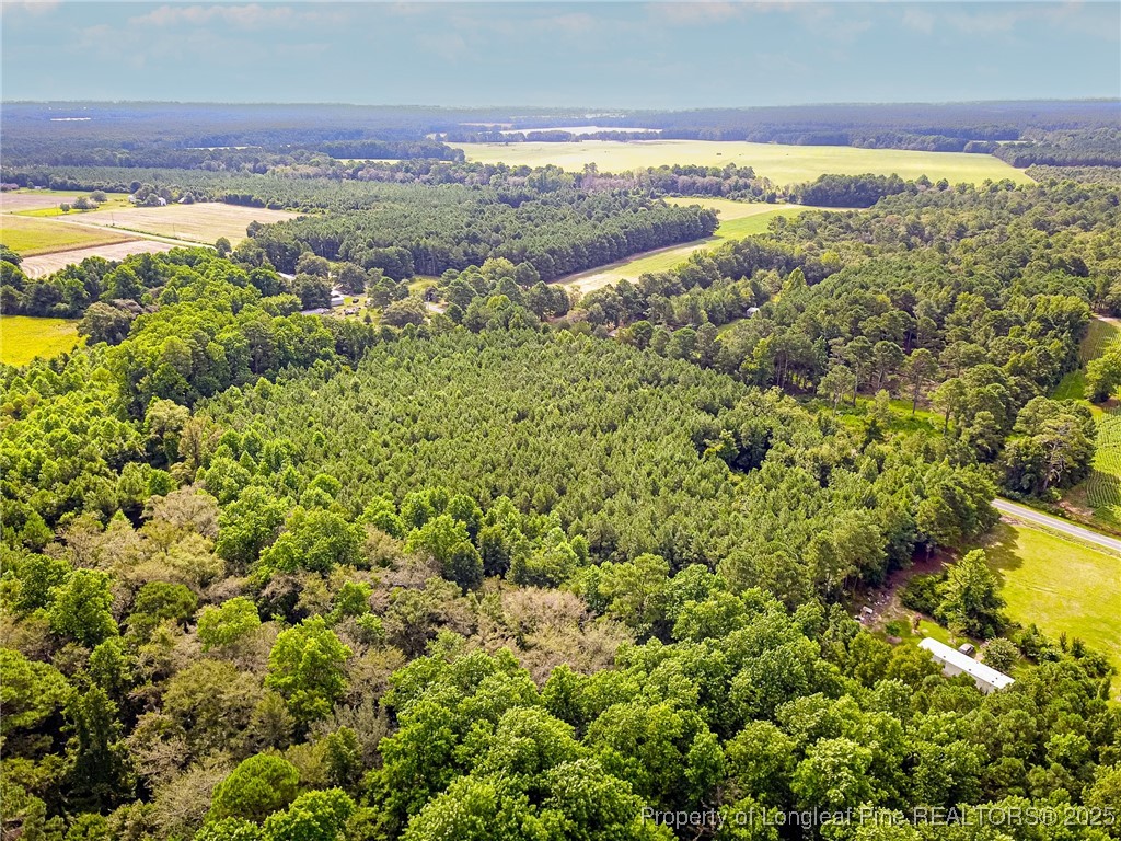 Boykin Bridge Road Road Clinton, NC 28328 - Photo 5 of 5 a view of a yard with an ocean and beach