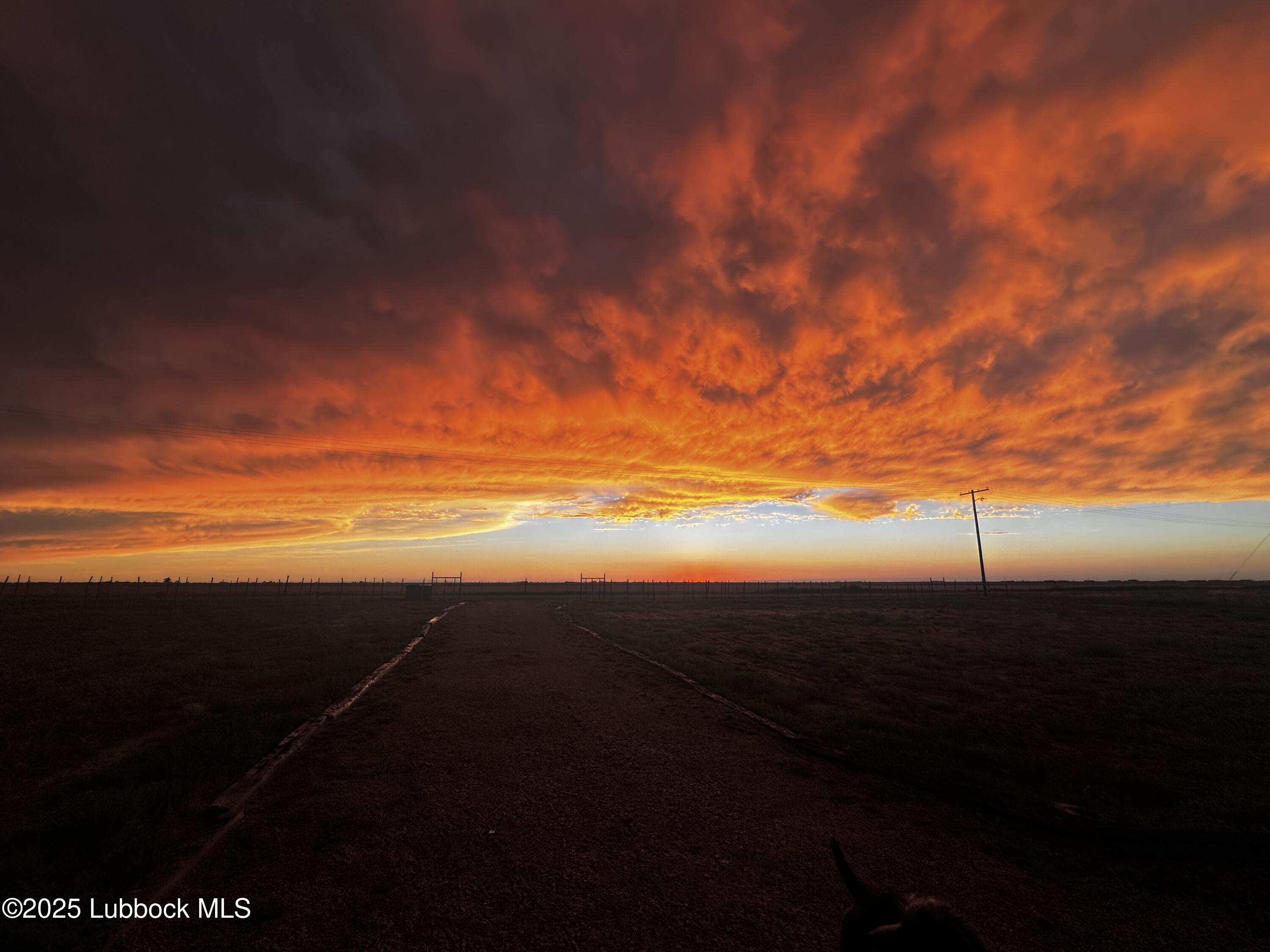 920 PR Anthony Shallowater, TX 79363 - Photo 35 of 40 IMG_4060