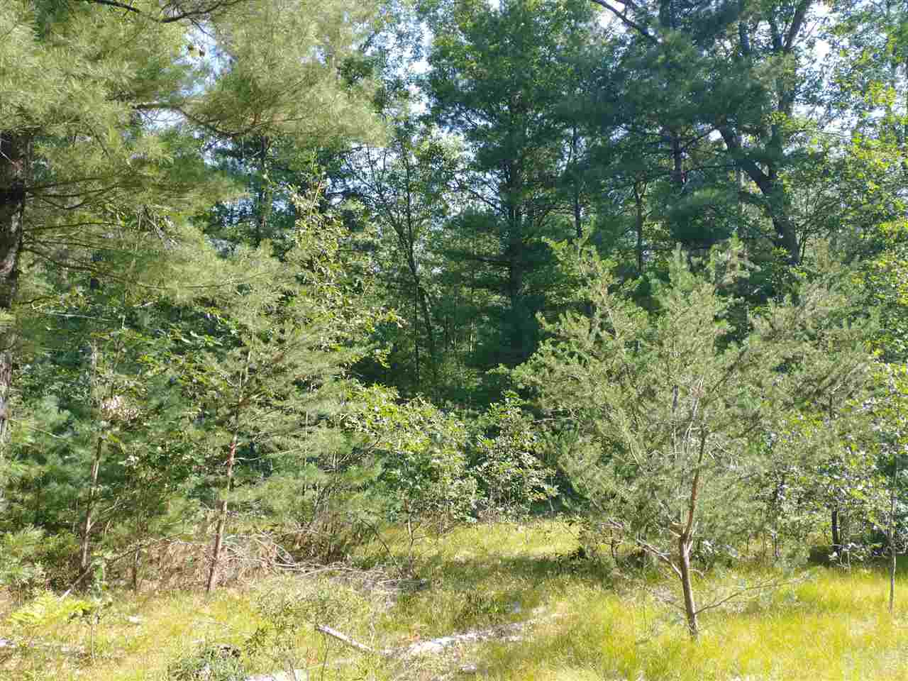 V/l Skocelas Road North Manistee, MI 49660 - Photo 11 of 12
