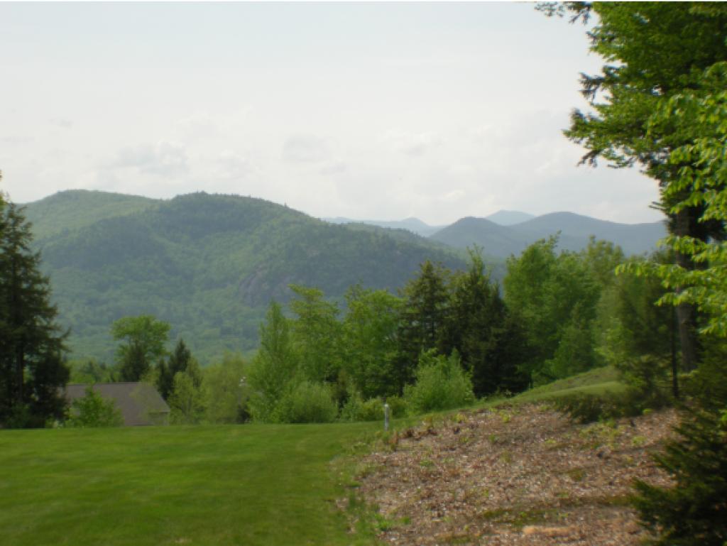 103 Eagle Ridge, Unit L103 Intervale, NH 03845 - Photo 3 of 24 Gallery Image 3