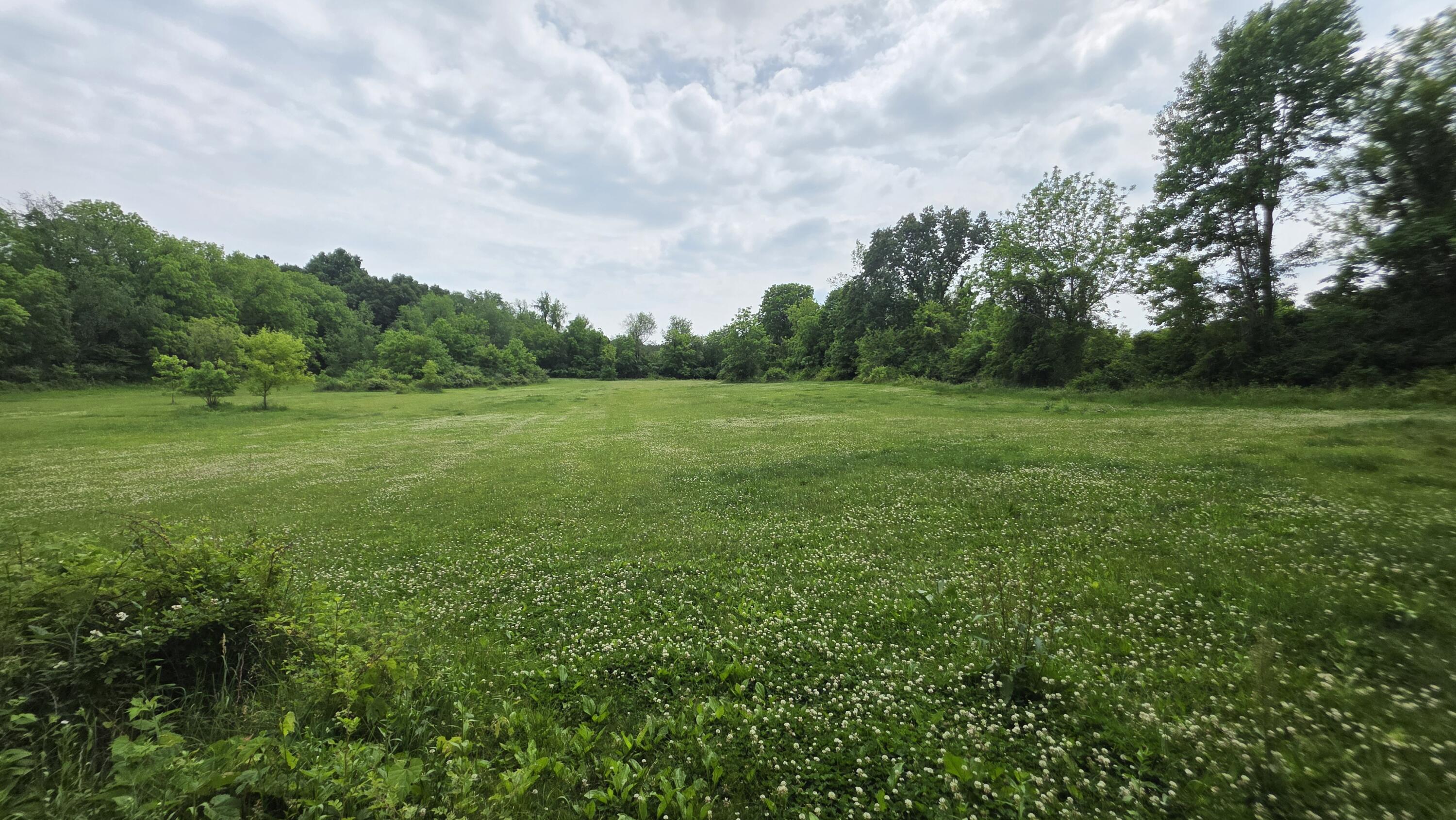 17281 Ely Road Manchester, MI 48158 - Photo 84 of 90 20260608_145706