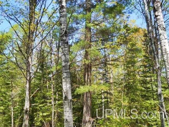 T-wi Wi 54156 Road Pembine, WI 54156 - Photo 1 of 3