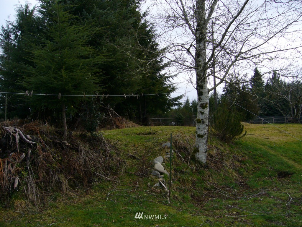 20 Rixon Road Beaver, WA 98305 - Photo 3 of 7 Gallery Image 3