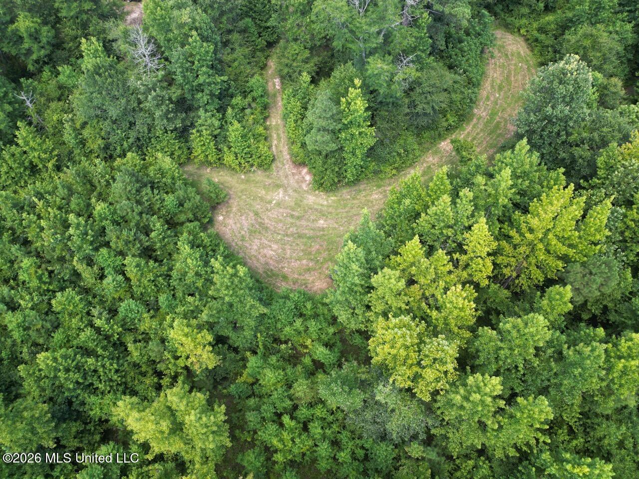 Pam Road Aimwell, LA 71401 - Photo 4 of 38 DJI_0437 Large